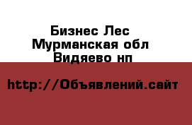 Бизнес Лес. Мурманская обл.,Видяево нп